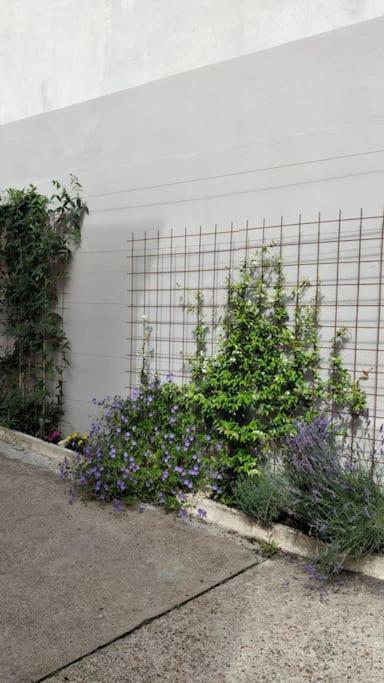 Ferienwohnung Experience Inouie A Orleans ! Exterior foto